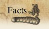 Facts about Umbagollah